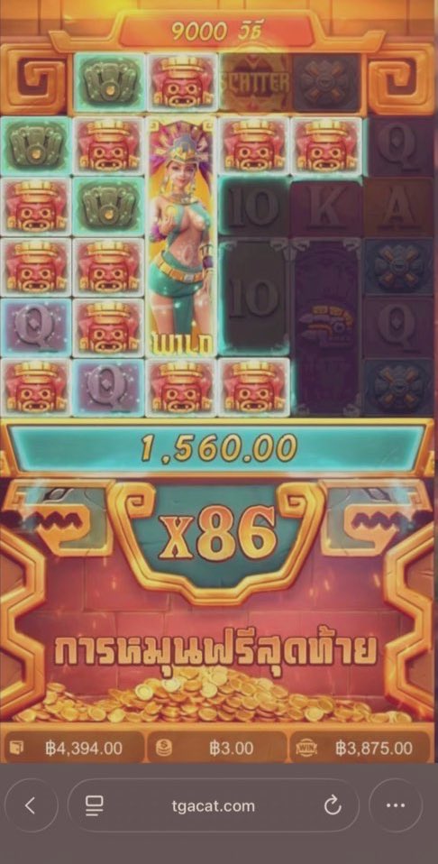 xรั่ง OG tweet media