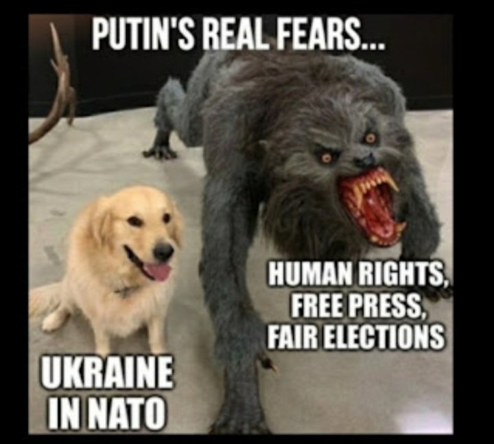 🇬🇧 🇪🇺 🌎 tweet media