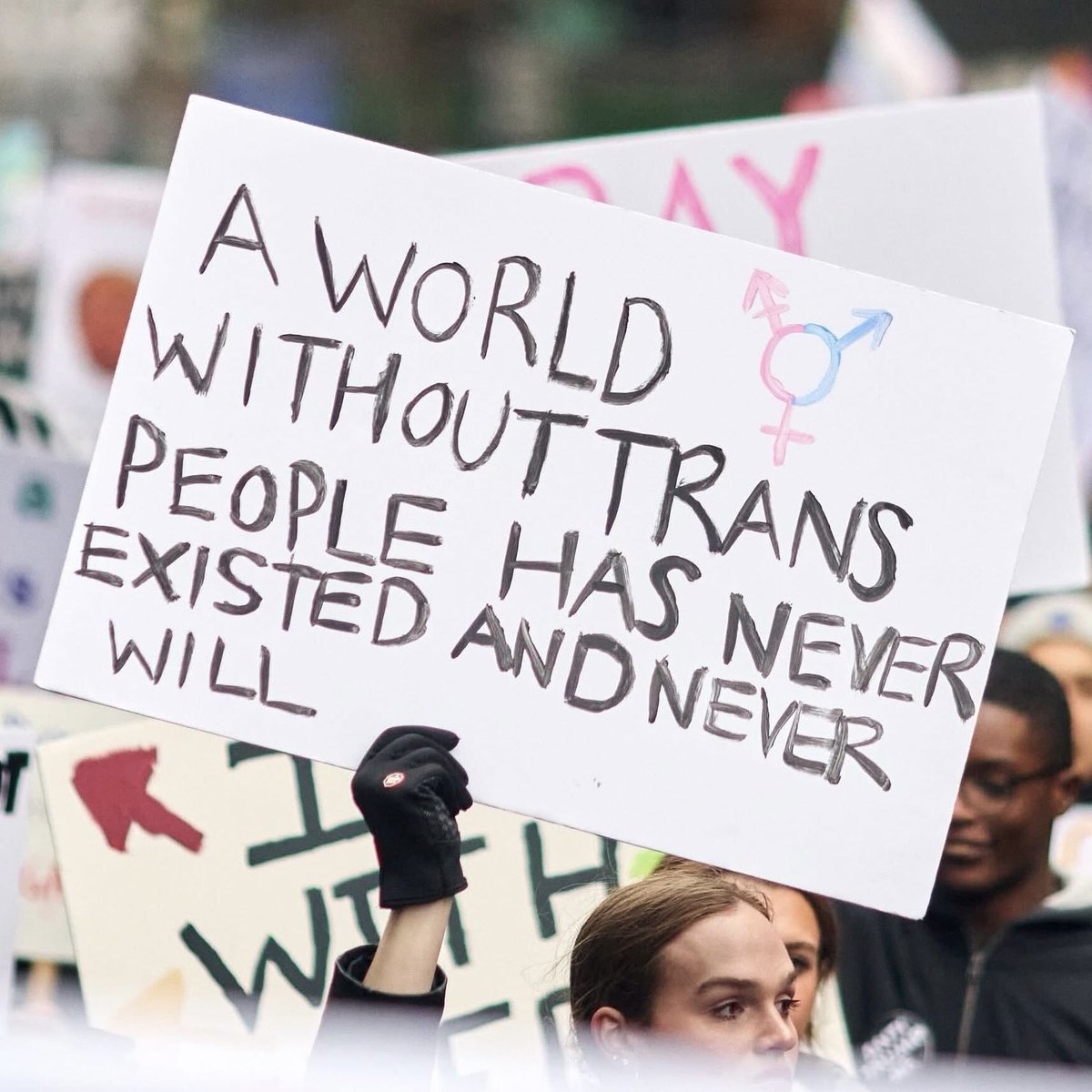 zoë rose bryant tweet media