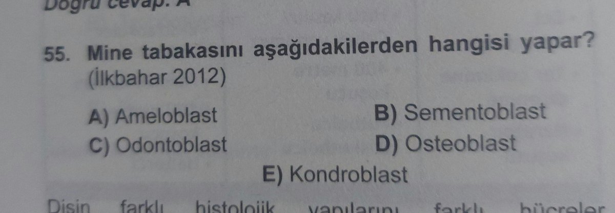 Hz. Mahone tweet media