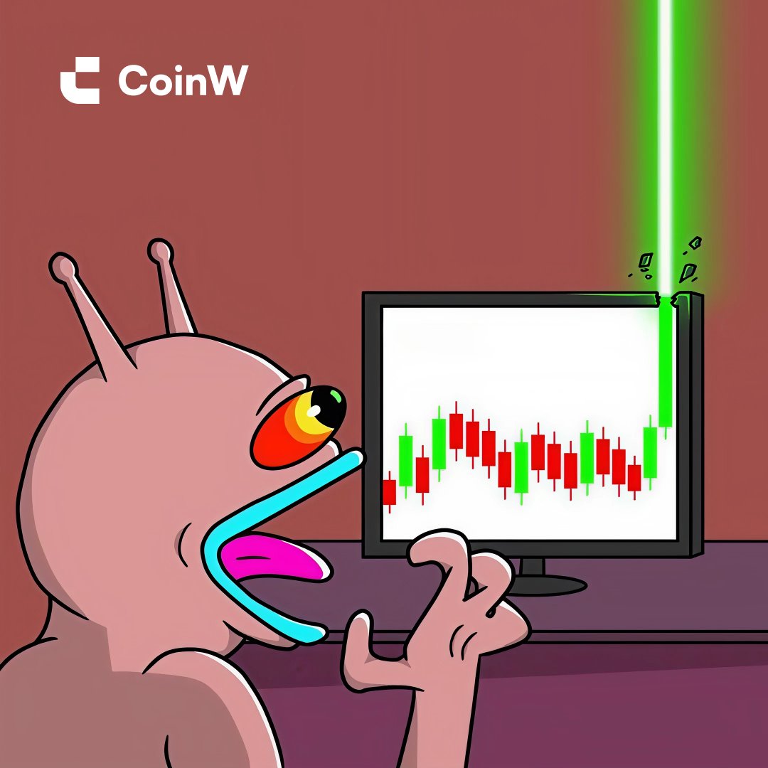 CoinW币赢 tweet media