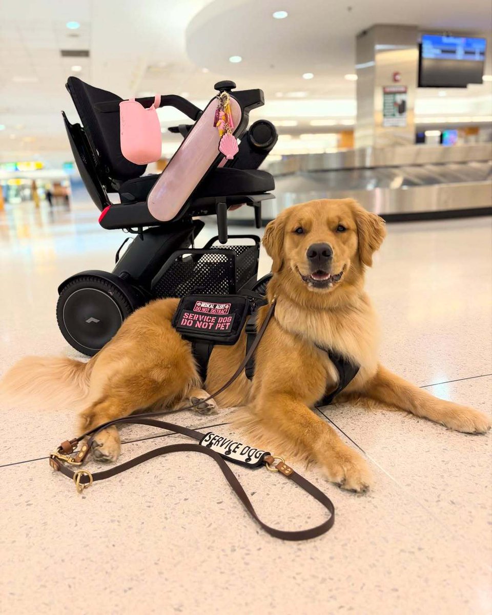 WHILL US tweet media