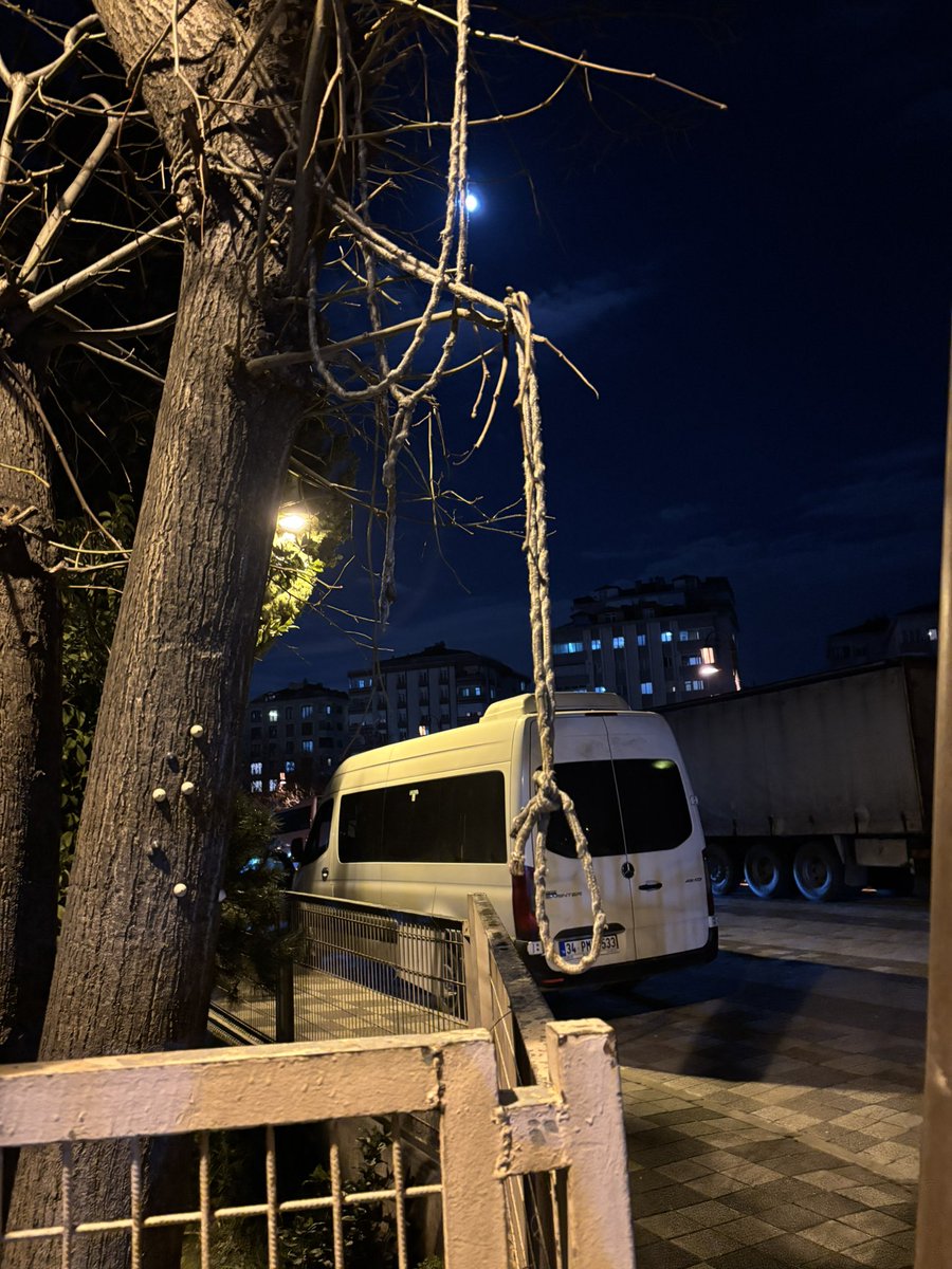 mather 𒉭 tweet media