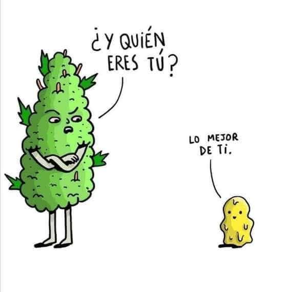 Weedmexique's tweet photo. #Weed #Flores #420 #SemanaSanta #Wax #Pluma #Vape #Thc #Conecte #DrugTwt #Cannabis #Toque #Pase #Fifi #Coke #Hongos #Tachas #Lsd #Mdma #Ajos #Cuadros #Outdoor #Grenhouse #Cuaderno #Polvo #Nena #Nieve #Candy #Dulces #Dm #Ruedas  #MotaChida #Morada  #Edibles #Dispensario #Cdmx #Mex https://t.co/swTLvBP1ea