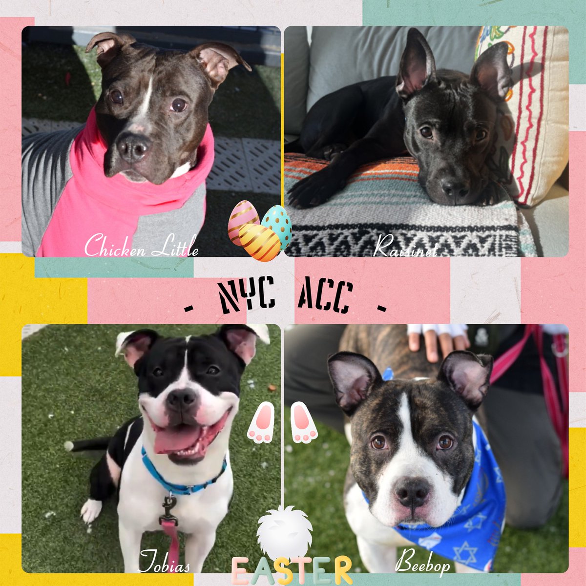 Not the Same tweet media