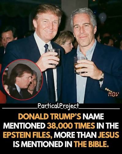 There’s a bear loose in Provo tweet media