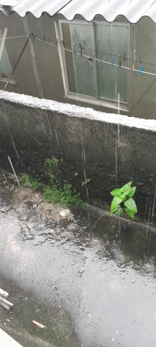 pretagonista tweet media