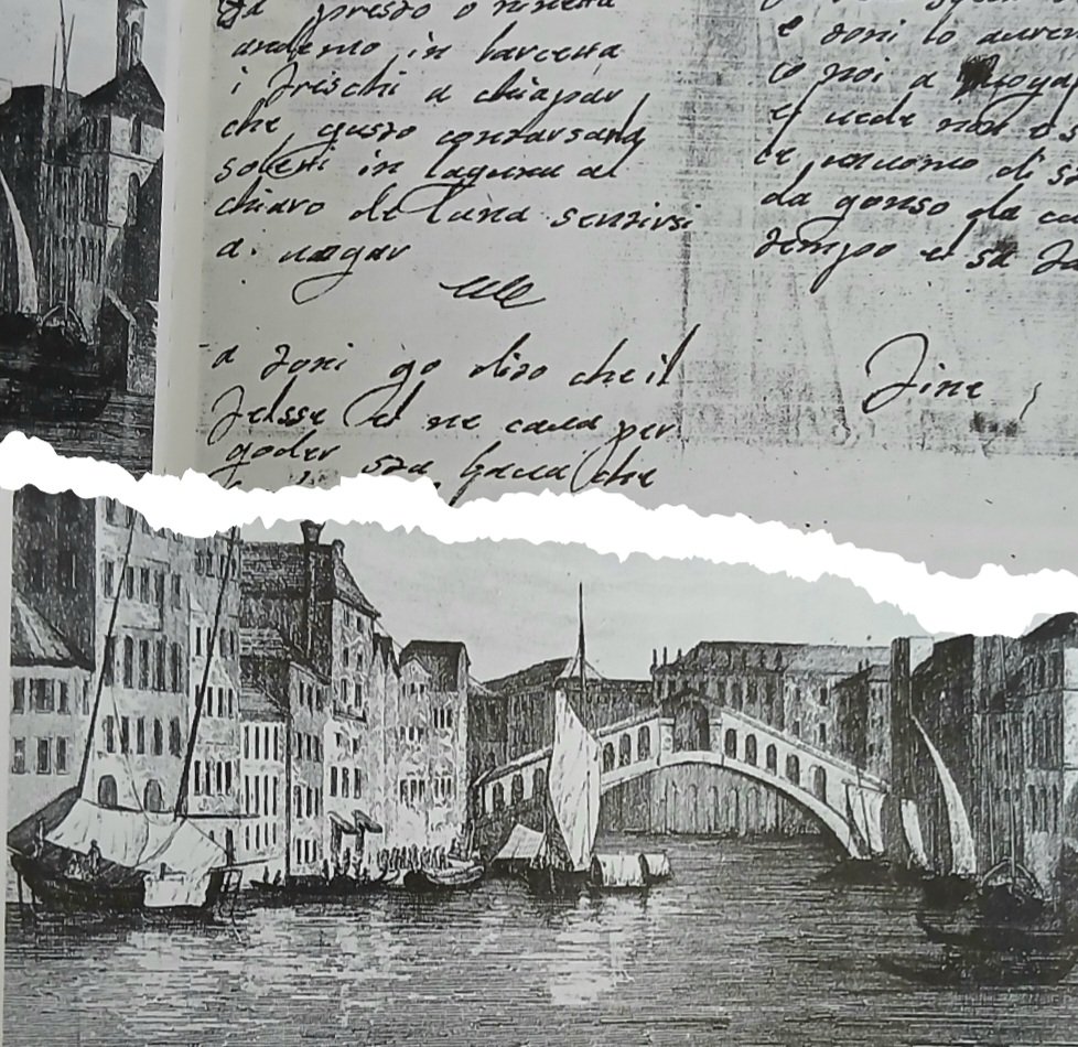 poodles gaze tweet media