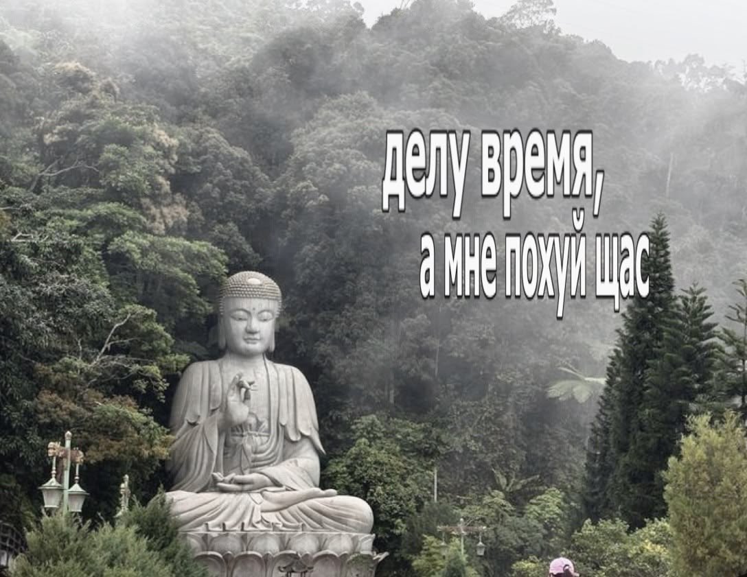 grindustoashes tweet media