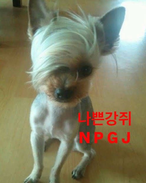 𝑺𝑪. tweet media