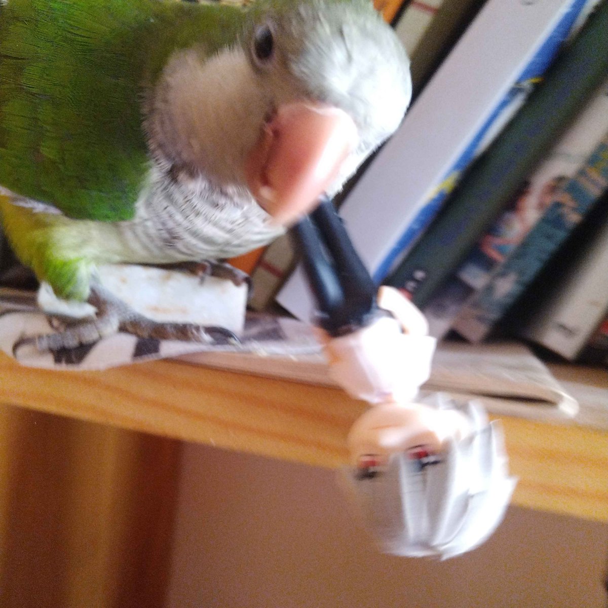 creighton tweet media