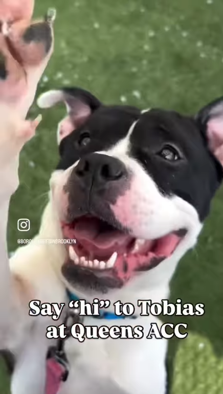 Cozy Paws🐾 tweet media