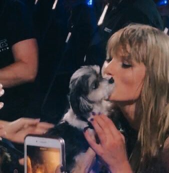 Taylor Swift Updates tweet media