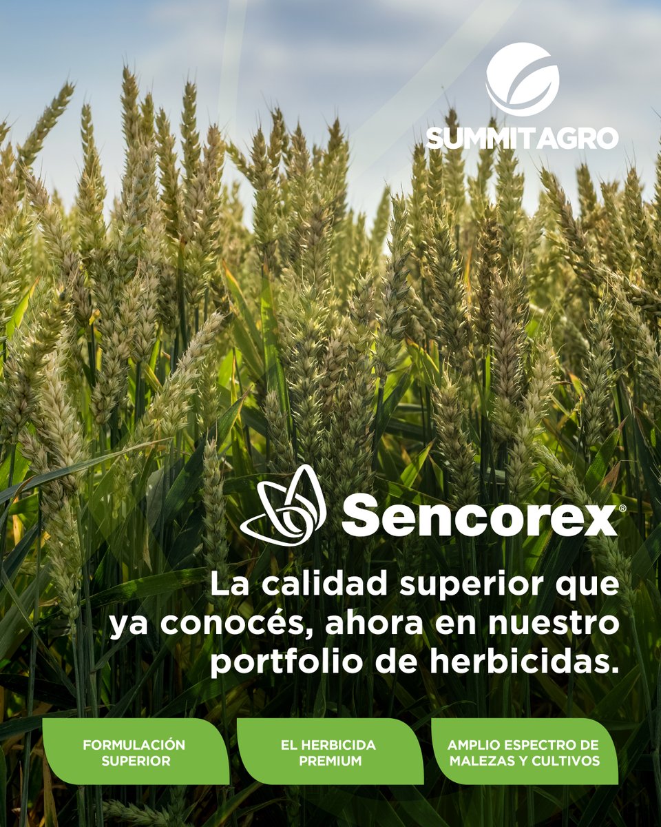 Summit Agro Argentina tweet media