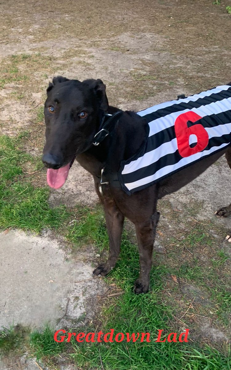 Gemma Davidson tweet media