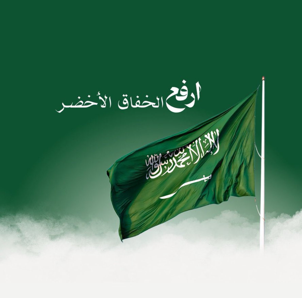 محمد بن سالم tweet media