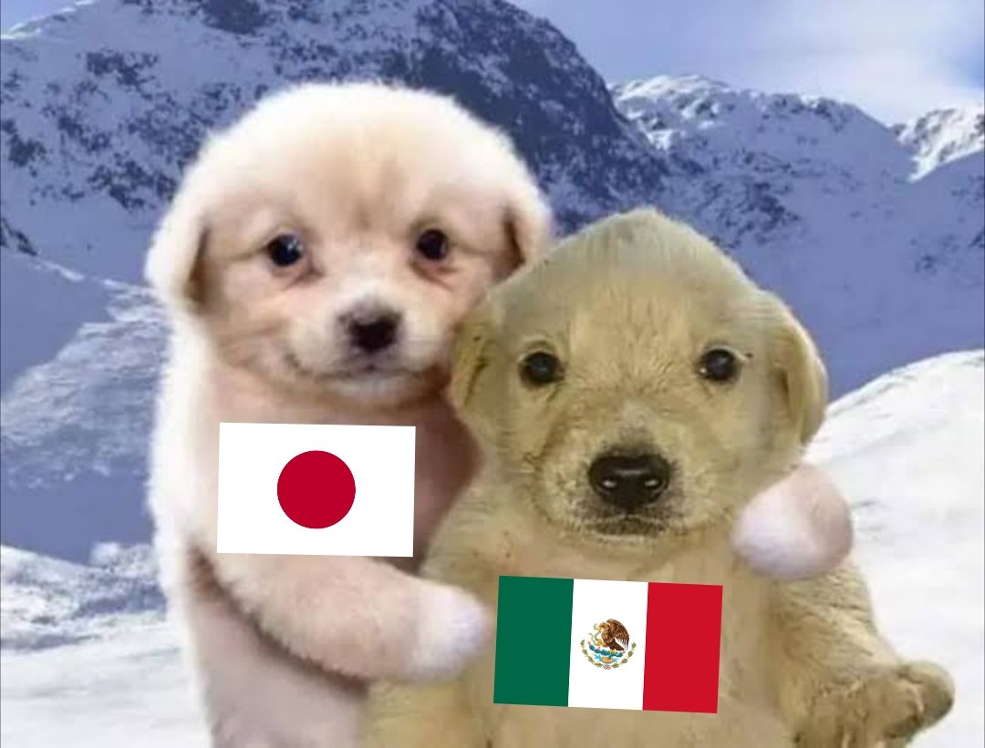 Antonio NoMe de Bris 🍃 tweet media