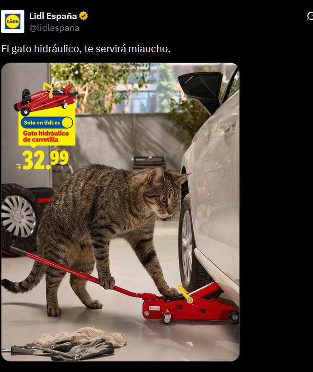 MrMoregame tweet media