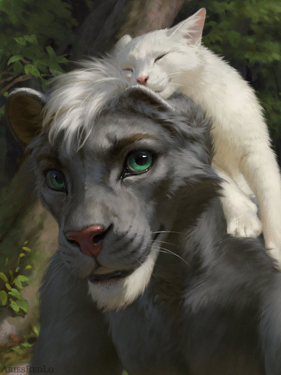 Deith_Cared's tweet photo. Process Gif of a lion portrait with cute kitty :3 https://t.co/11NyQYK7xd