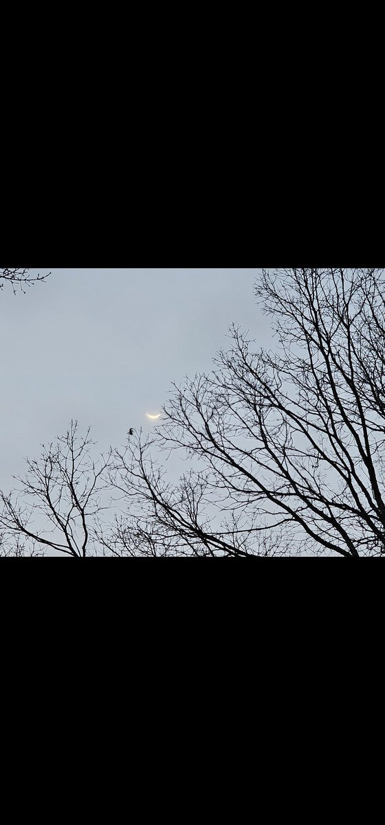 RealityNotFiction tweet media