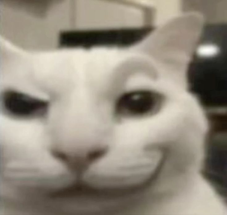 Nekochuofficial 🐾 The Soldier: 76 Connoisseur 💙 tweet media