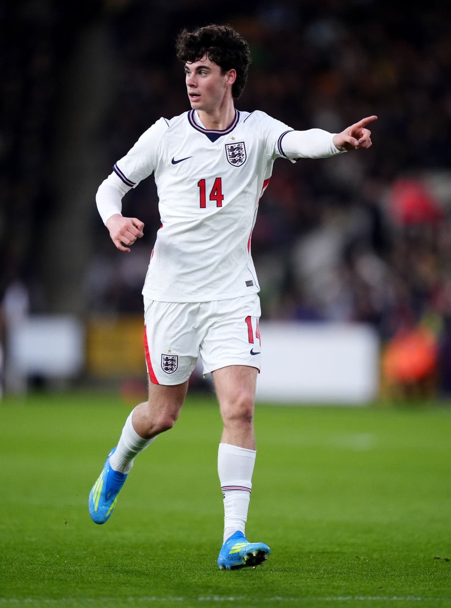 HQpcrt's tweet image. Archie Gray #YoungLions