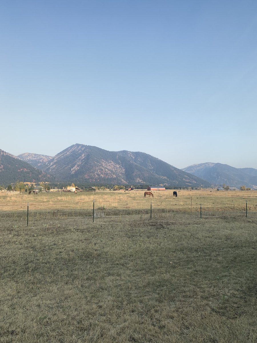 einfachvier tweet media