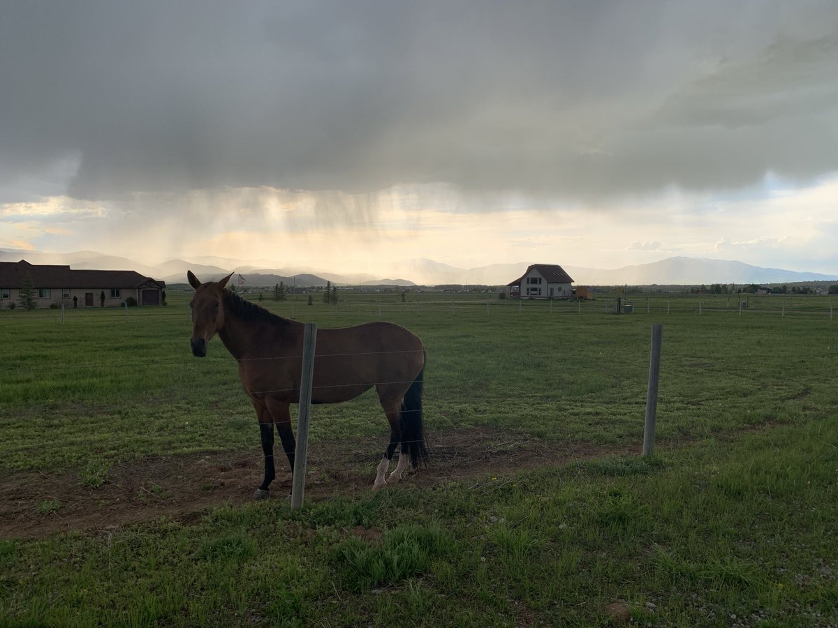 einfachvier tweet media