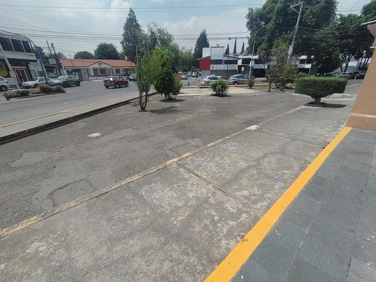 Guardabosque Urbano tweet media