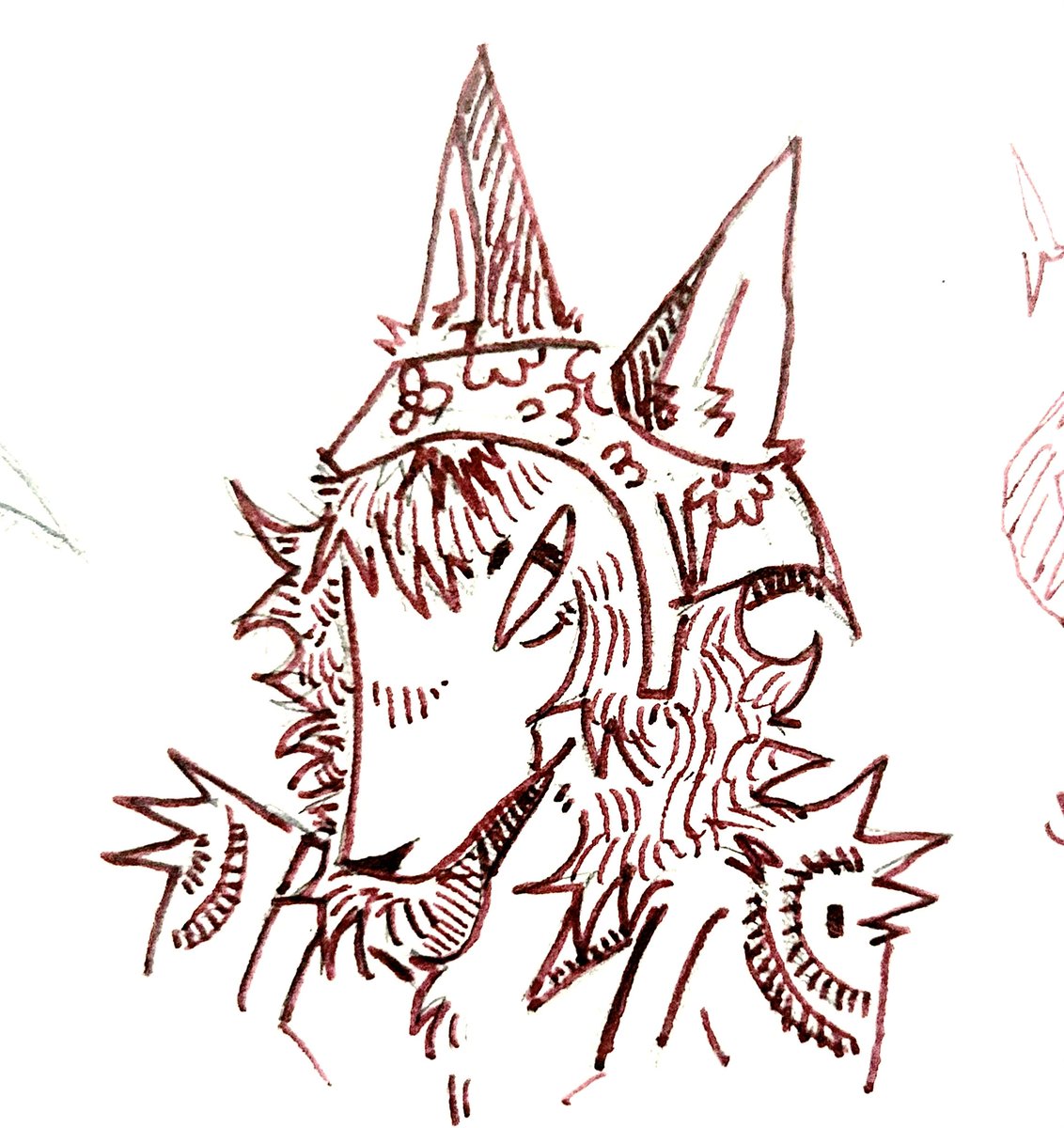 Gunnison ⛷️ tweet media