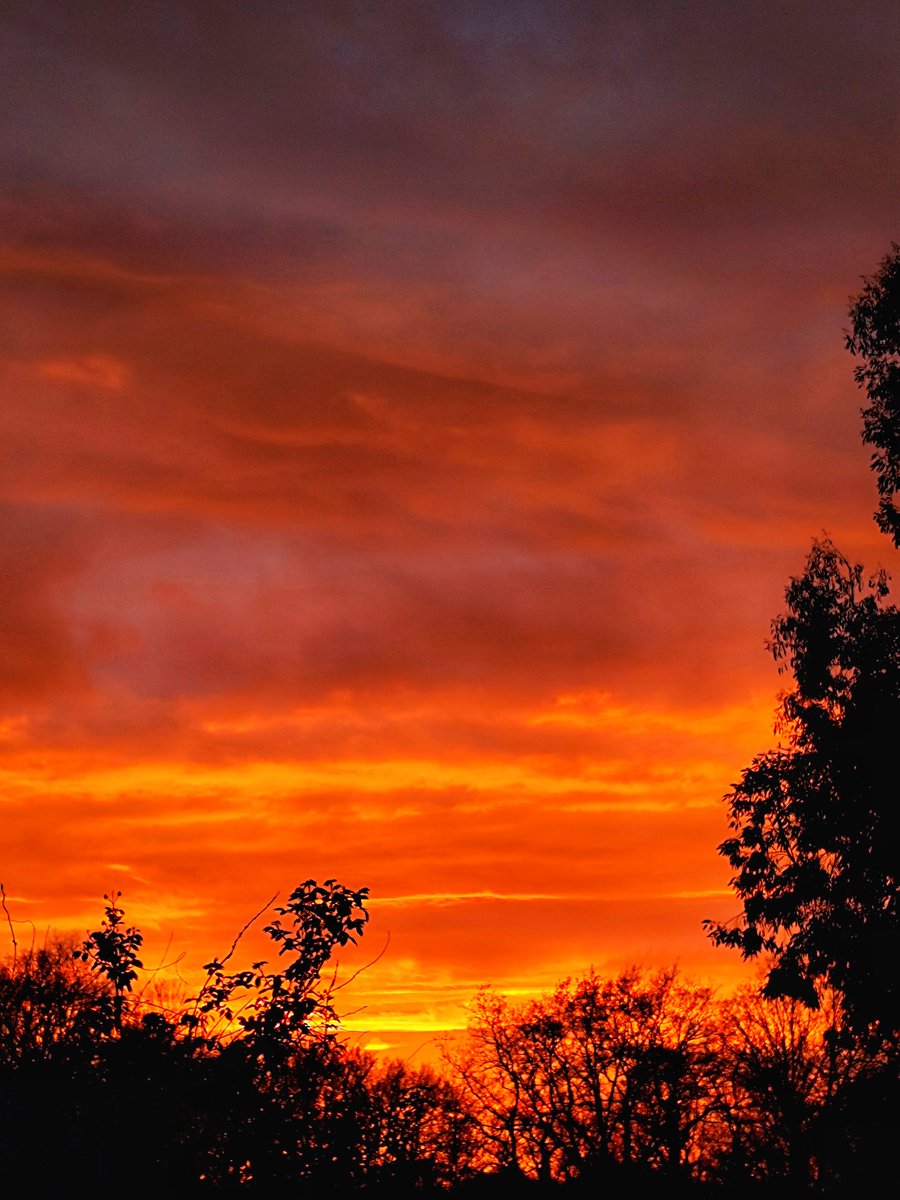 ☀️Chris bbt tweet media