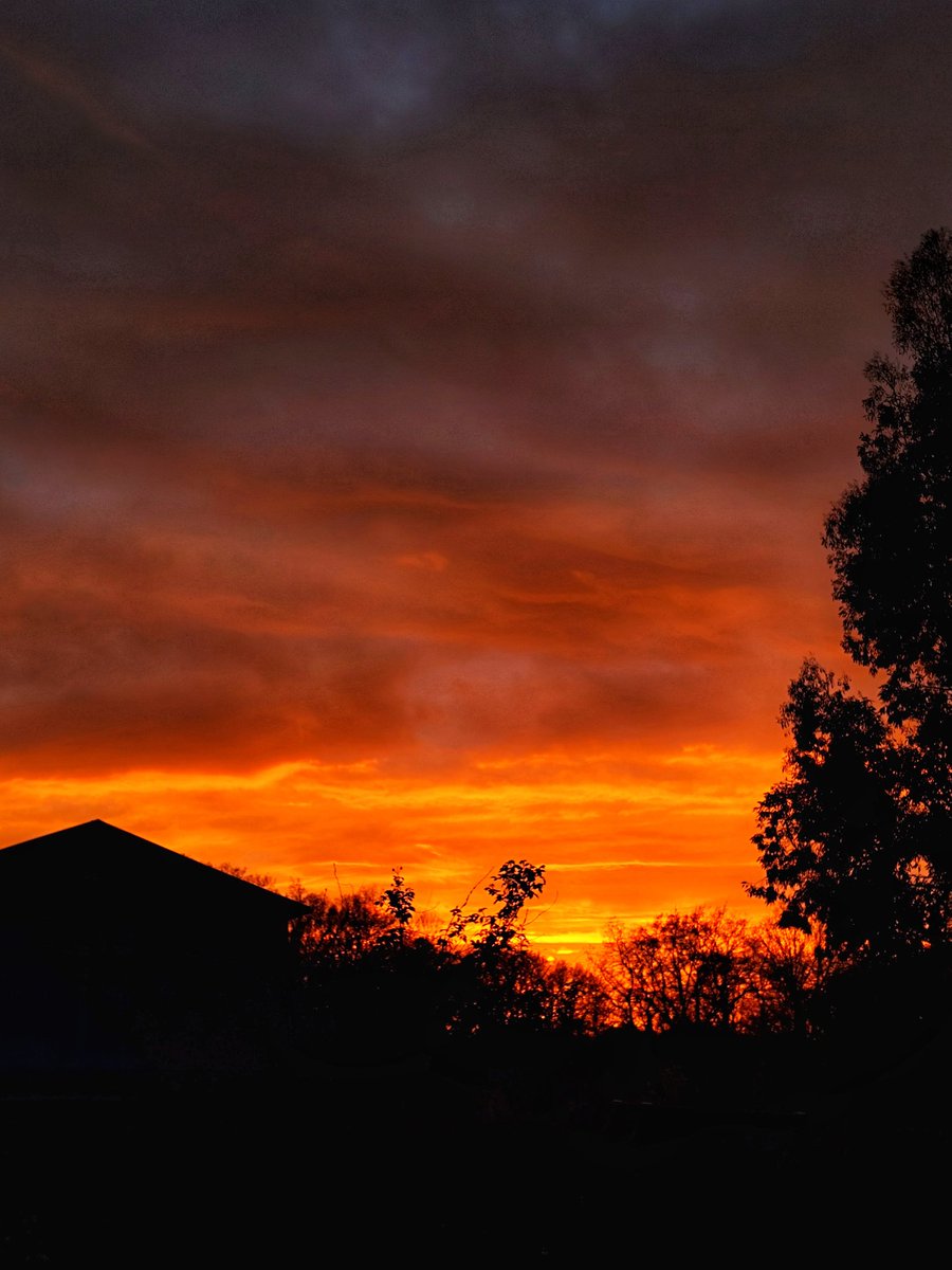 ☀️Chris bbt tweet media