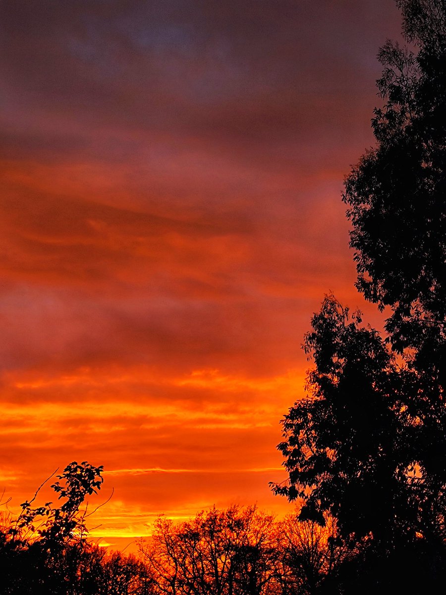 ☀️Chris bbt tweet media