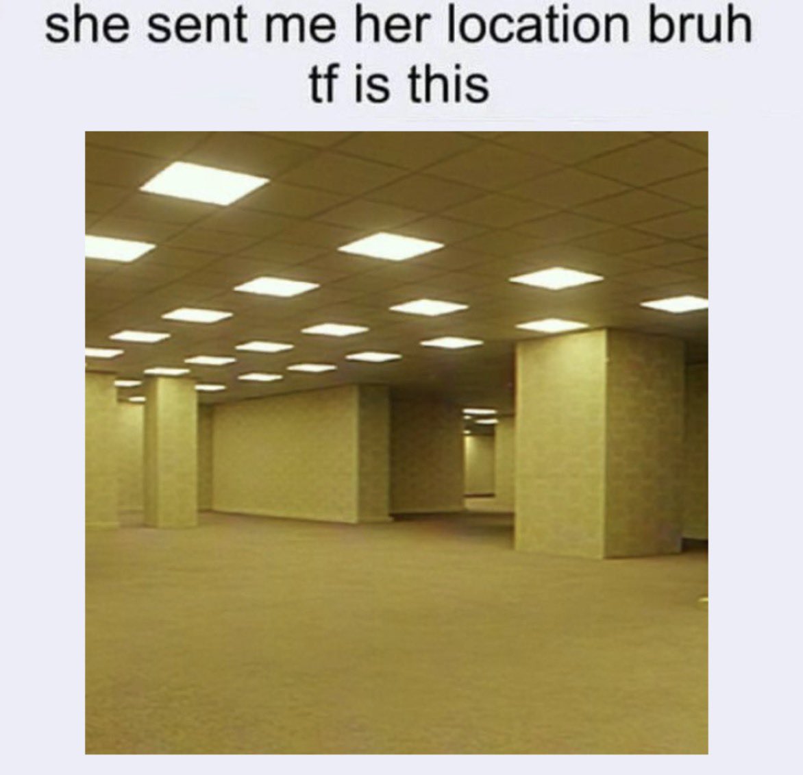 leah 🍁 ☻ tweet media