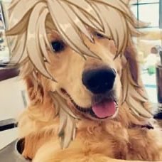 Daddy Varka tweet media