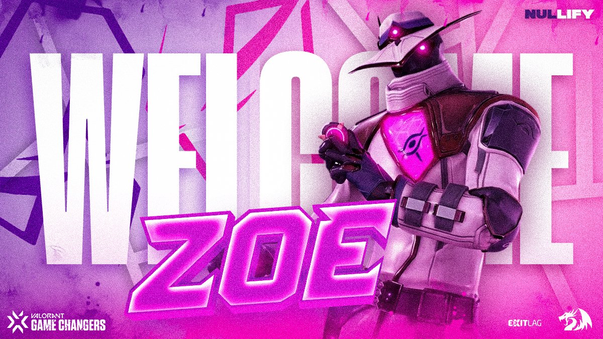 NULLIFY GAMING tweet media