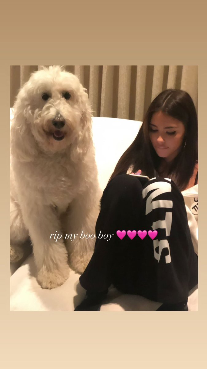 Madison Beer France tweet media