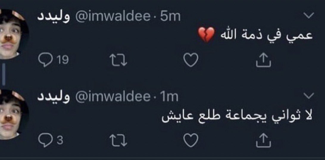 nagichib's tweet photo. في وحدة ب الحي اهلها نزلوا صورة انها توفت بس فجاة رجع لها النبض وحذفوا كل الصور https://t.co/7Vvc3ljj23