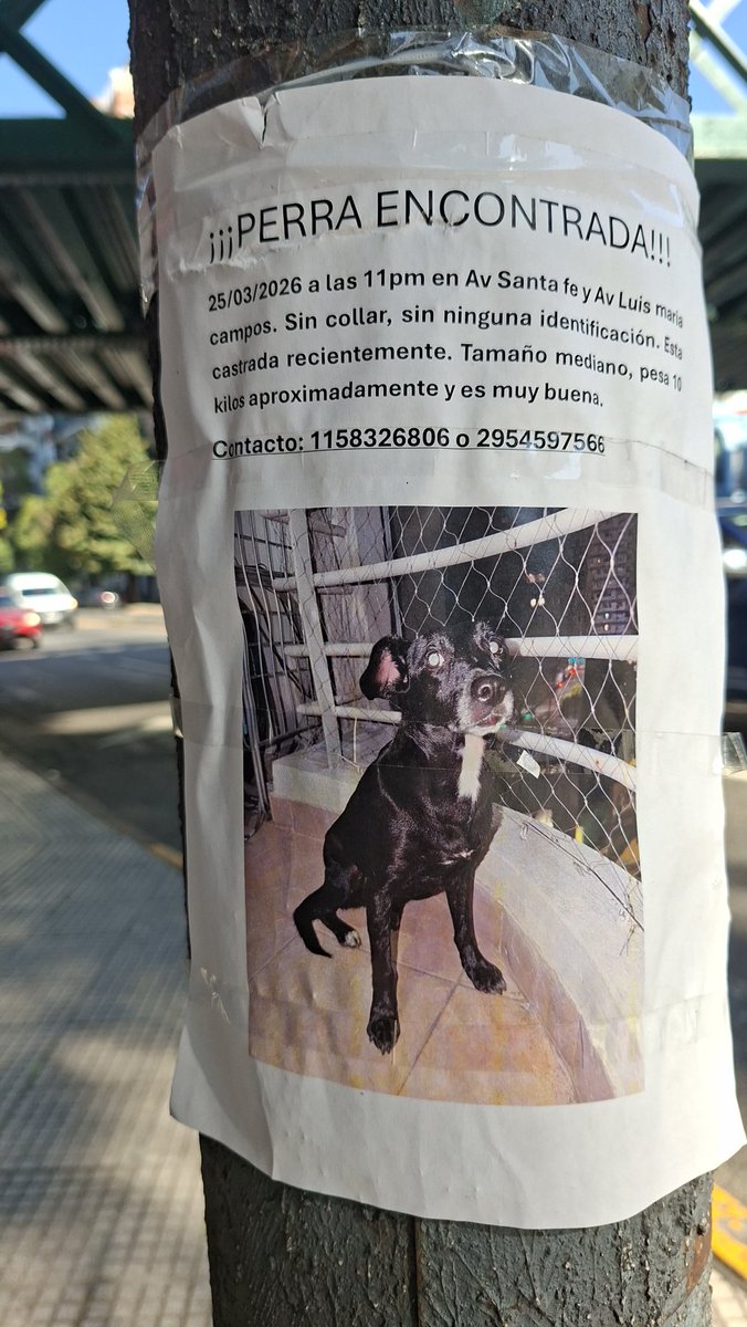 Viviana Holz tweet media