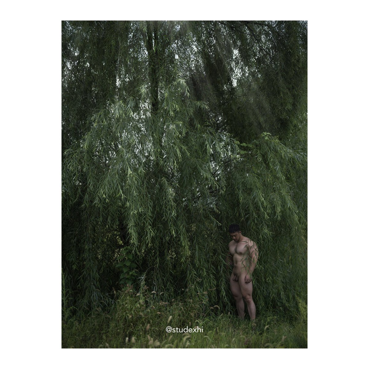 Where to find the beast tweet media