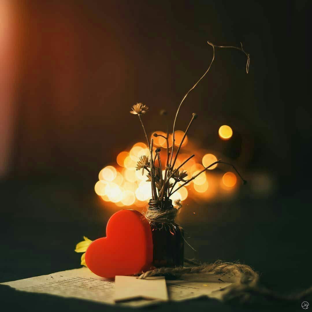 أنِيَنِ_آلَوٌردٍღ🤍🕊️ tweet media