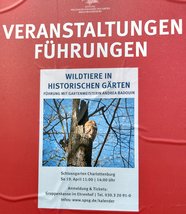 Führung im Schlosspark Charlottenburg mit GARTENMEISTERIN ANDREA BADOUIN von der SPSG:
"WILDTIERE IN HISTORISCHEN GÄRTEN"

TERMINE
Sonntag, 19.04.2026, 11.00 Uhr
Sonntag, 19.04.2026, 14.00 Uhr
Weitere Infos:
spsg.de/schloesser-gae…
spsg.de/aktuelles/vera…