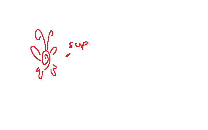 Hannah Bruyere tweet media