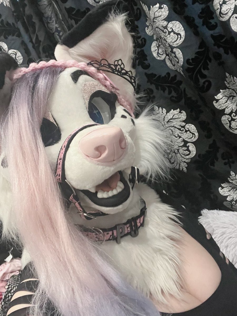 🌸 Evie 🌸 tweet media