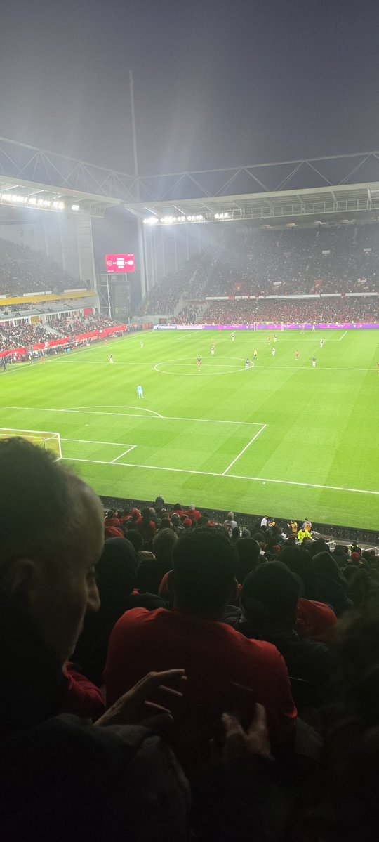 Hamed Boudazra💜 🇺🇦🇵🇸 tweet media