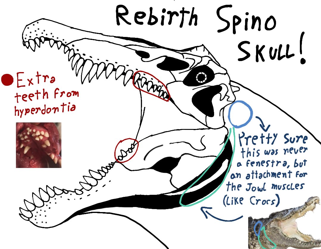 Springmorb tweet picture