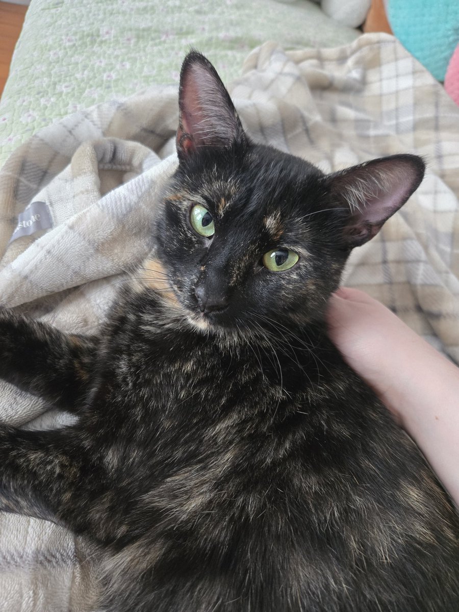 jay 💤💘🔞 tweet media