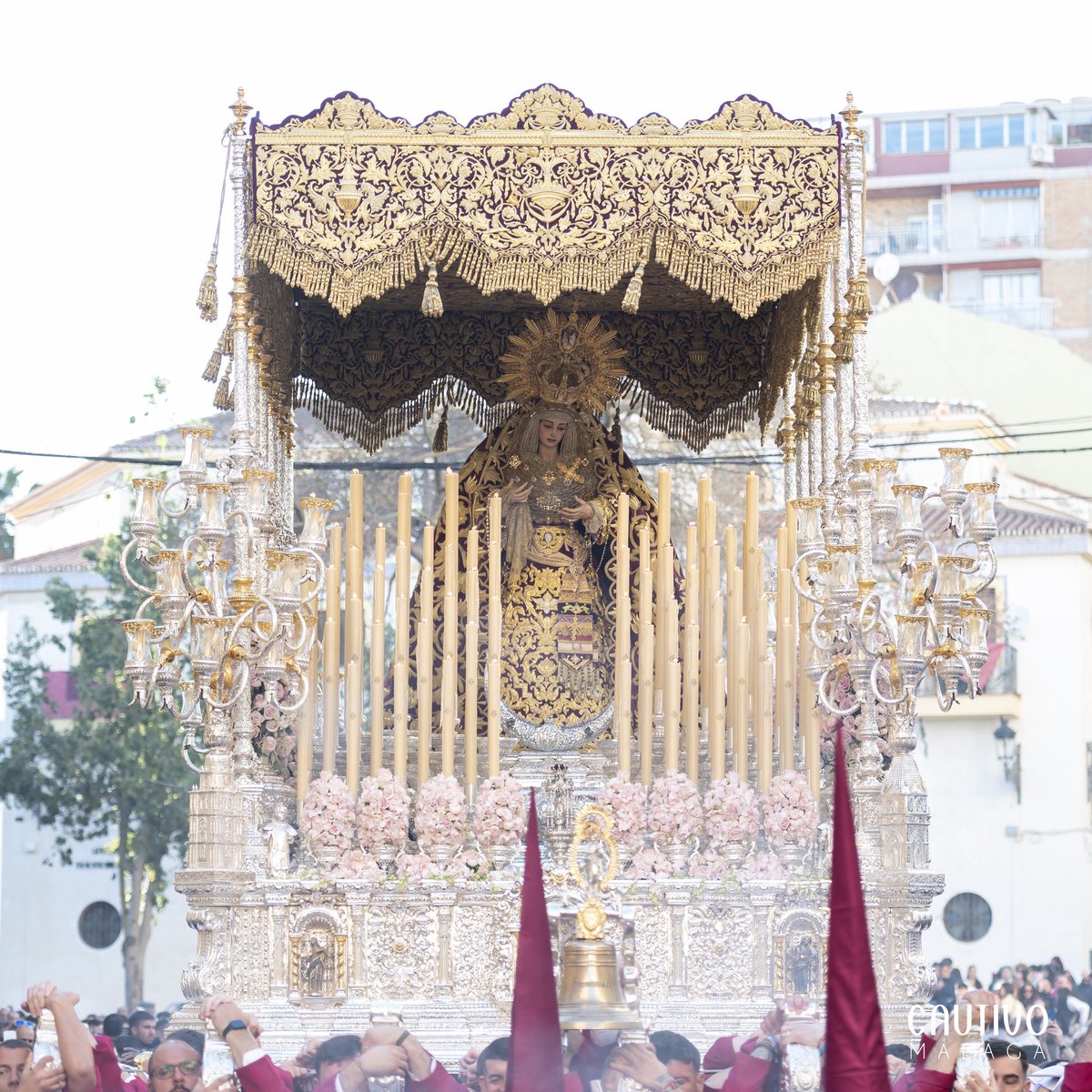Cautivo Málaga tweet media
