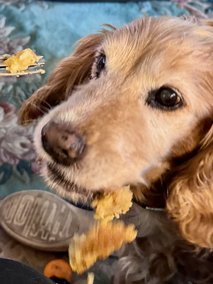 SpanielsSuper's tweet image. Sharing is caring mum
#RememberThat 
#ThanksMum 

Mmmmmmmmmmm
#Delicious