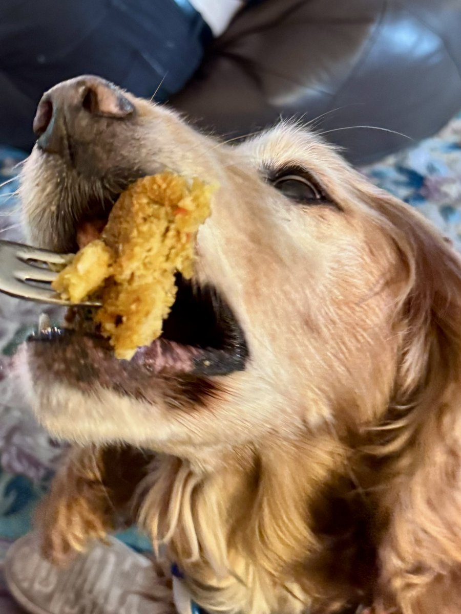 SpanielsSuper's tweet image. Sharing is caring mum
#RememberThat 
#ThanksMum 

Mmmmmmmmmmm
#Delicious